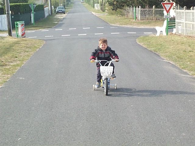 DCP_4854.JPG